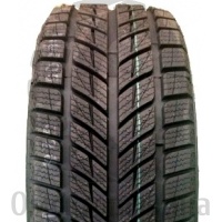 Double Star 205/50R17 T 93 DW09 XL